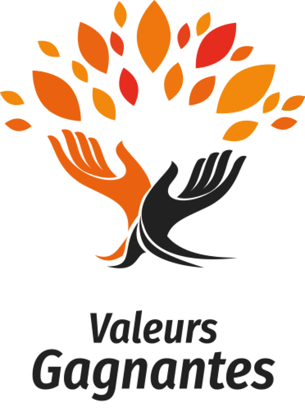 Valeurs-gagnantes.png